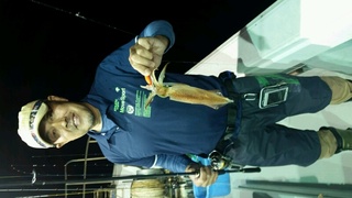 ディープ オーシャン 釣果