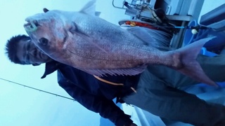 ディープ オーシャン 釣果