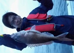 ディープ オーシャン 釣果