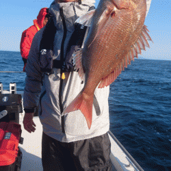 遊漁船ブルーウッズ 釣果