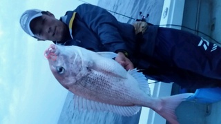 ディープ オーシャン 釣果