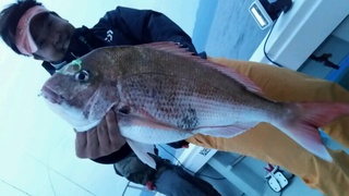 ディープ オーシャン 釣果