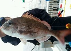 ディープ オーシャン 釣果