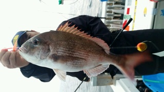 ディープ オーシャン 釣果