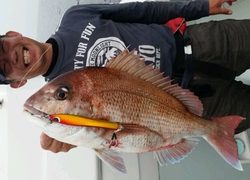 ディープ オーシャン 釣果