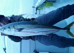 ディープ オーシャン 釣果