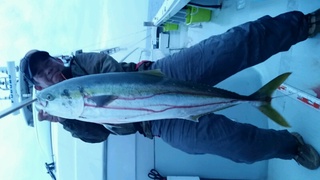 ディープ オーシャン 釣果