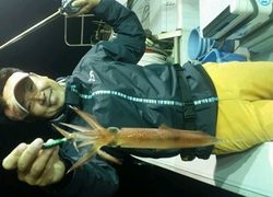 ディープ オーシャン 釣果