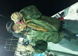 ディープ オーシャン 釣果