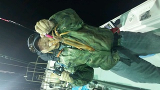 ディープ オーシャン 釣果