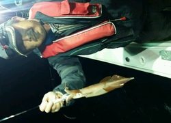 ディープ オーシャン 釣果