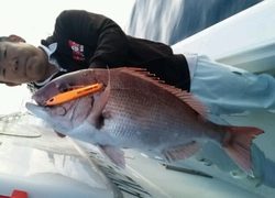 ディープ オーシャン 釣果