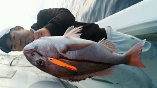 ディープ オーシャン 釣果