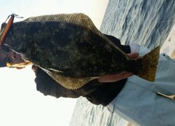 ディープ オーシャン 釣果