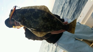 ディープ オーシャン 釣果