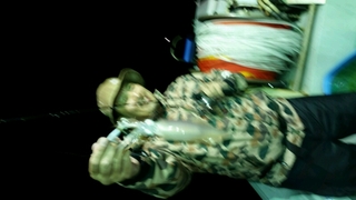 ディープ オーシャン 釣果