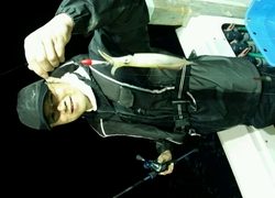 ディープ オーシャン 釣果