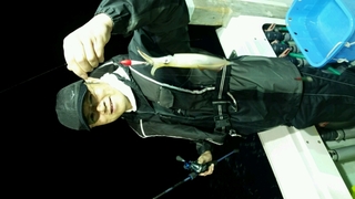 ディープ オーシャン 釣果