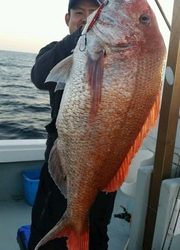 ディープ オーシャン 釣果