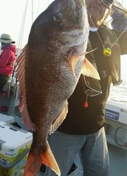 ディープ オーシャン 釣果