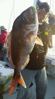 ディープ オーシャン 釣果