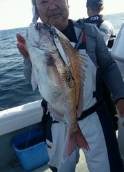 ディープ オーシャン 釣果