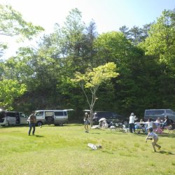 フィッシングレイクたかみや 釣果