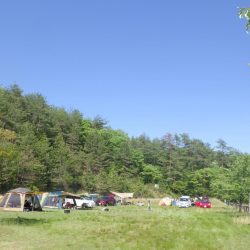 フィッシングレイクたかみや 釣果