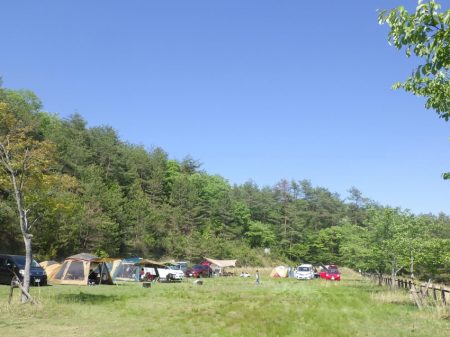 フィッシングレイクたかみや 釣果