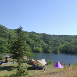 フィッシングレイクたかみや 釣果