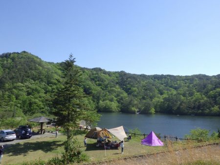 フィッシングレイクたかみや 釣果