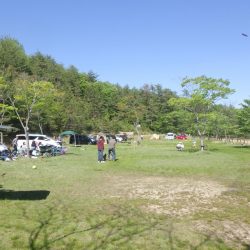 フィッシングレイクたかみや 釣果