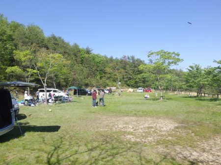 フィッシングレイクたかみや 釣果