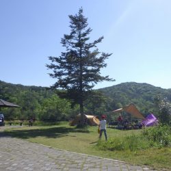 フィッシングレイクたかみや 釣果