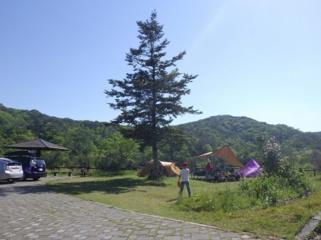 フィッシングレイクたかみや 釣果