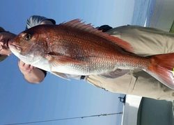 ディープ オーシャン 釣果