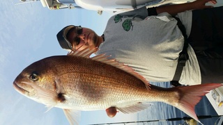 ディープ オーシャン 釣果