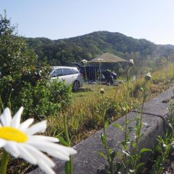 フィッシングレイクたかみや 釣果