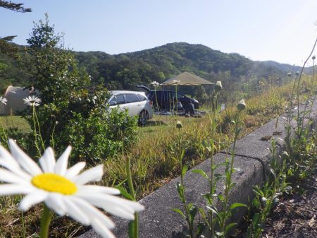 フィッシングレイクたかみや 釣果