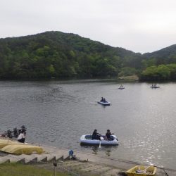 フィッシングレイクたかみや 釣果