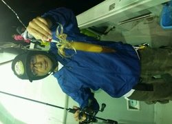 ディープ オーシャン 釣果