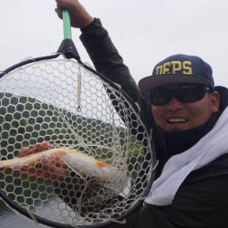 フィッシングレイクたかみや 釣果