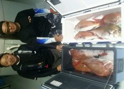 ディープ オーシャン 釣果