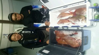 ディープ オーシャン 釣果