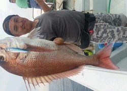 ディープ オーシャン 釣果