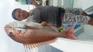 ディープ オーシャン 釣果