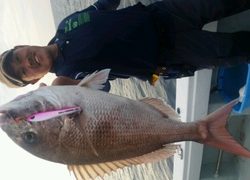 ディープ オーシャン 釣果