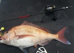 ディープ オーシャン 釣果