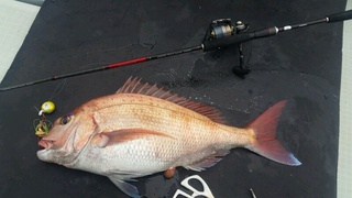 ディープ オーシャン 釣果