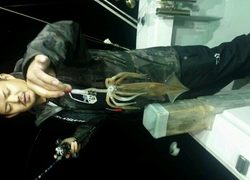 ディープ オーシャン 釣果